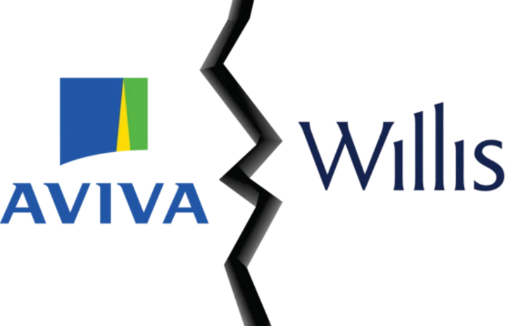 aviva-willis-split