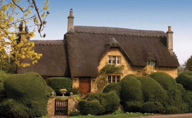 thatched-roof