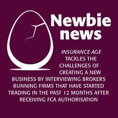 newbie-news-logo-1116