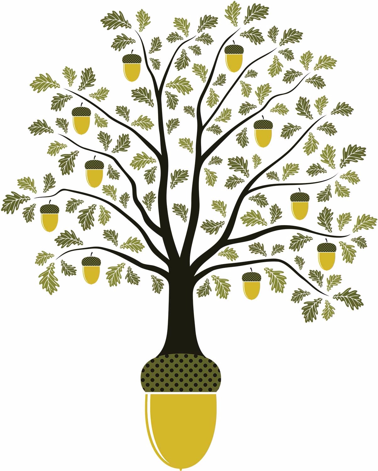 oak-tree-from-acorn-illo