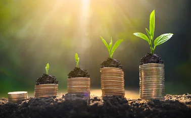 Growing piles of coins with green shoots