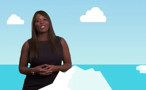 rsa-biba-vide-screengrab