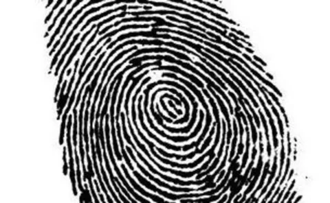 fingerprint