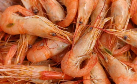Pile of prawns