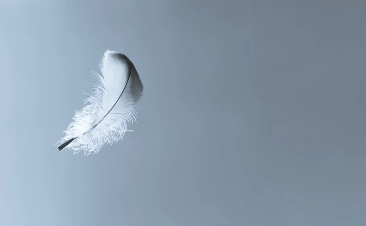 lone feather falling in the sky 