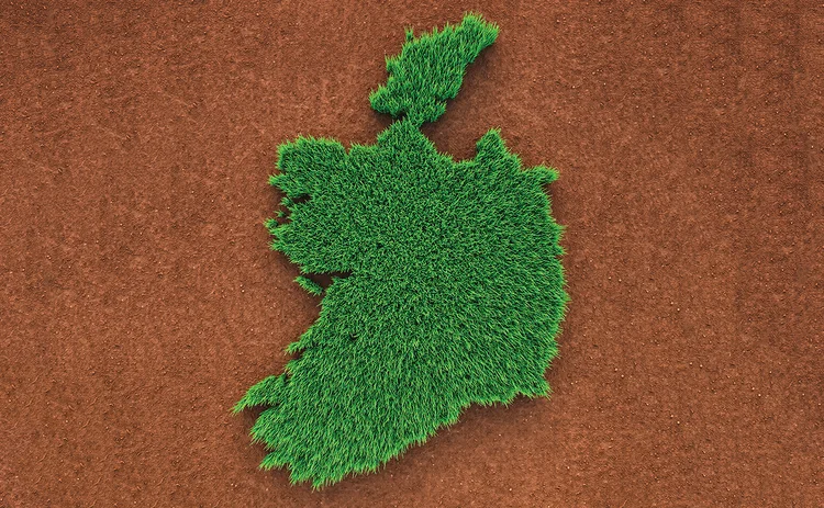 Ireland grass