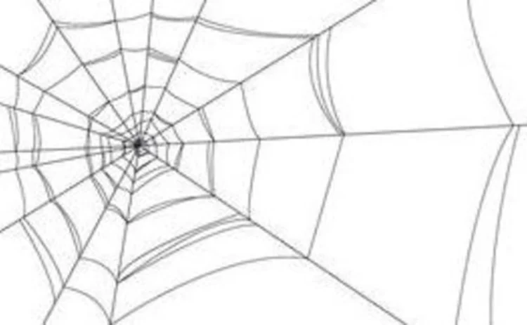 cobweb