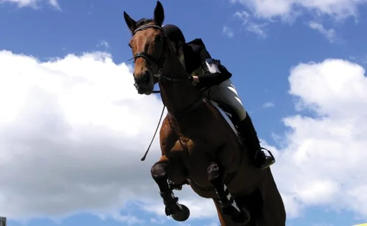 Horse jumping hurdle