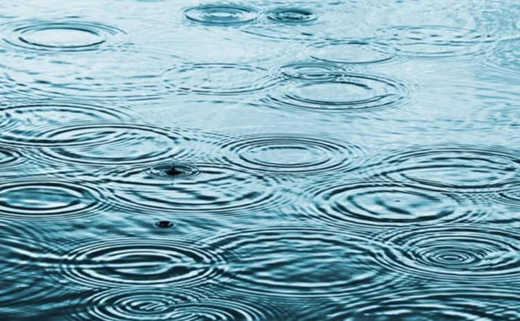 shutterstock-44598319