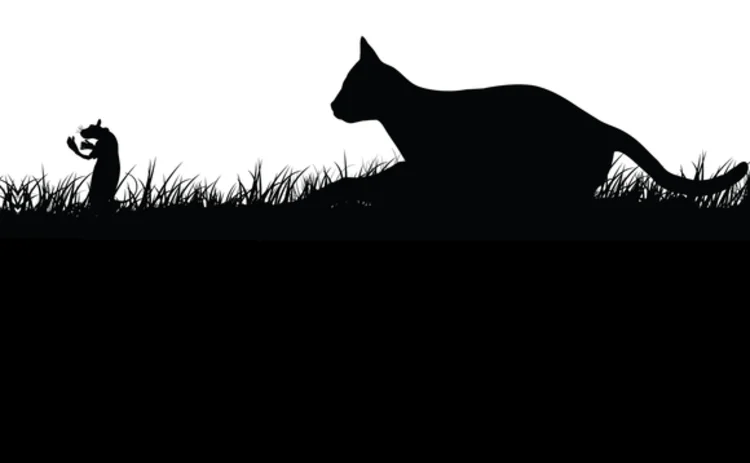cat-and-mouse-silhouette