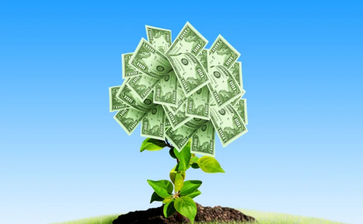 growth-plant-sprout-dollars-money