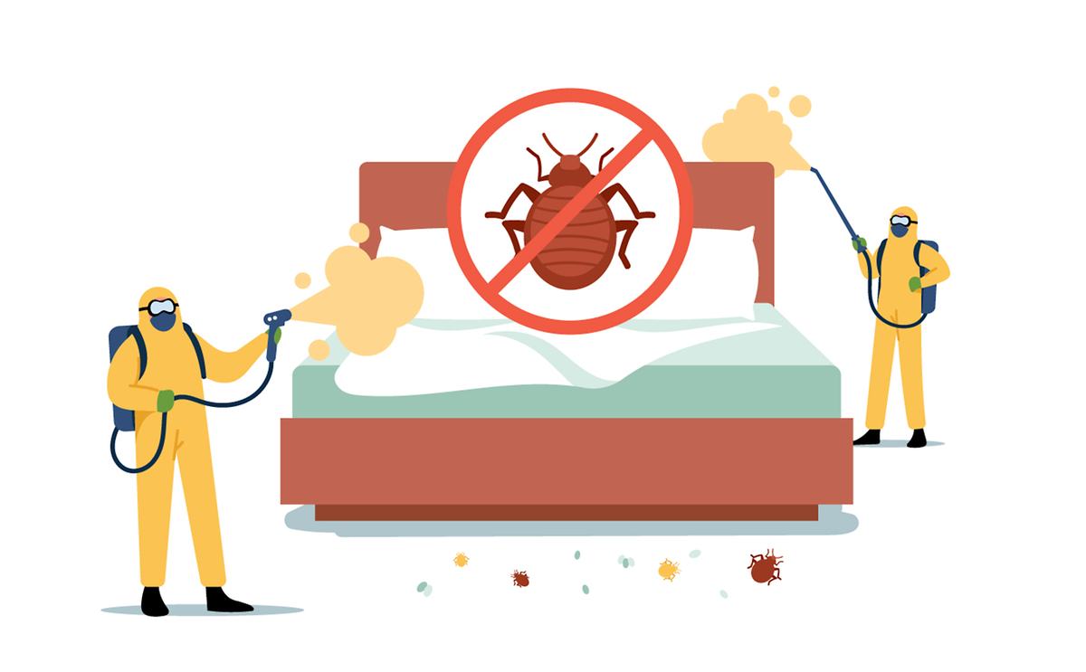 Insurers twitchy on pest controller insurance - Vimarsana News