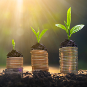 Growing piles of coins with green shoots