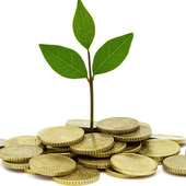Growing Investment